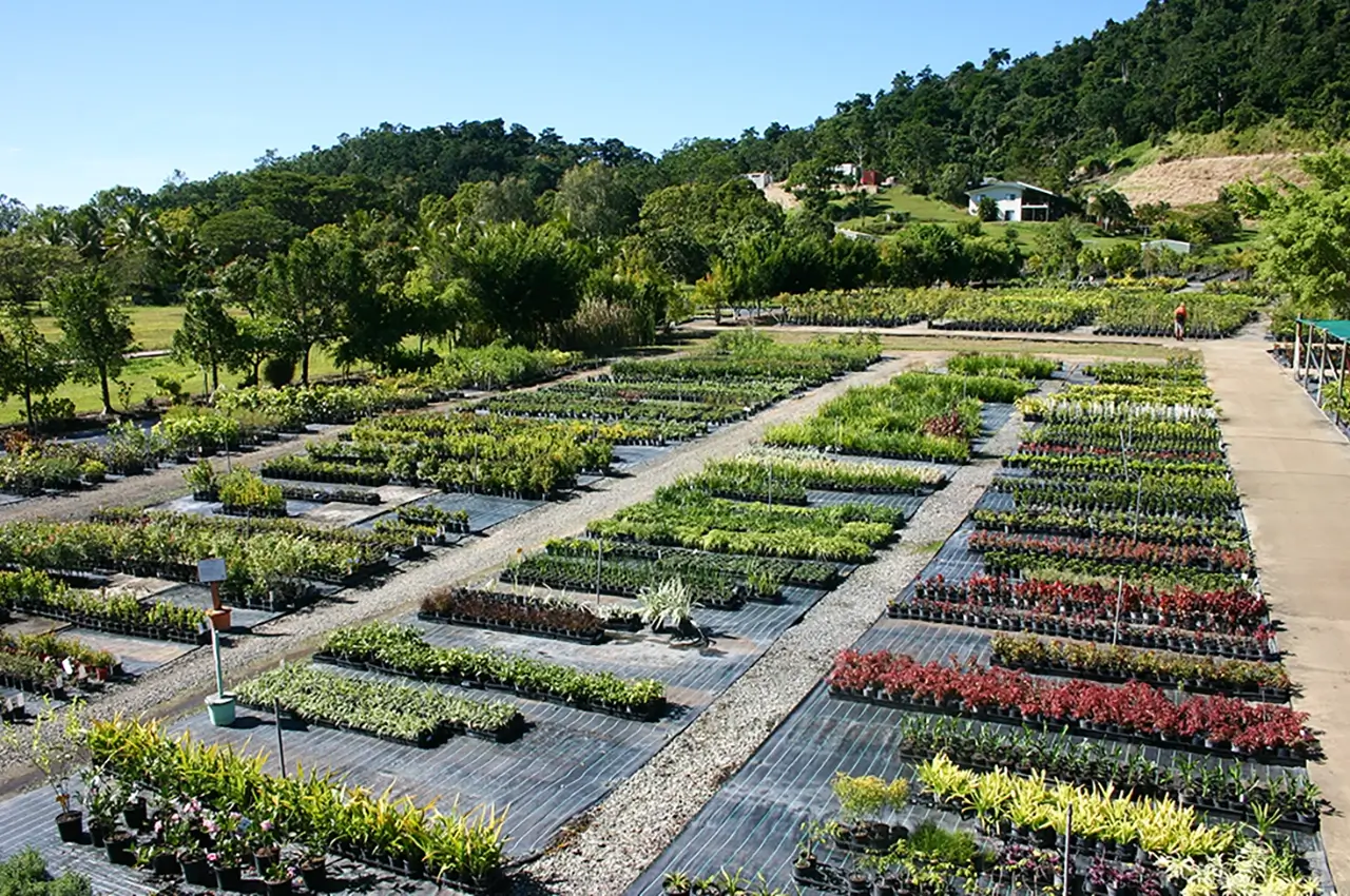 Nursery supplier