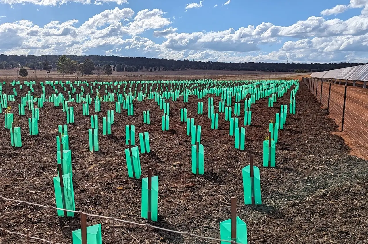 Kingaroy Solar Farm